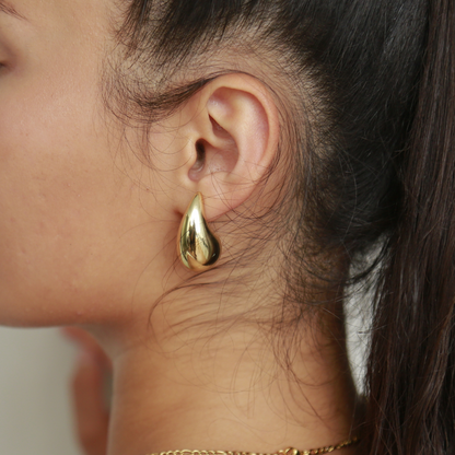 Charming Earrings (Gold)